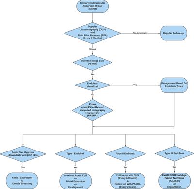 Two decades of experience in explantation and graft preserving strategies following primary endovascular aneurysm repair and lessons learned